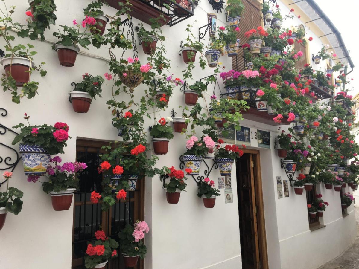 Buhardilla De Wallada Cordoba Exterior photo